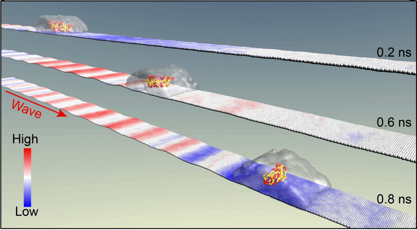 云顶集团3118(中国)官方网站