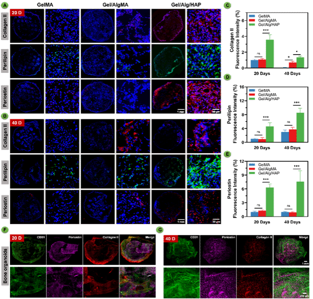 云顶集团3118(中国)官方网站