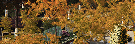 云顶集团3118(中国)官方网站