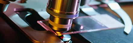 云顶集团3118(中国)官方网站